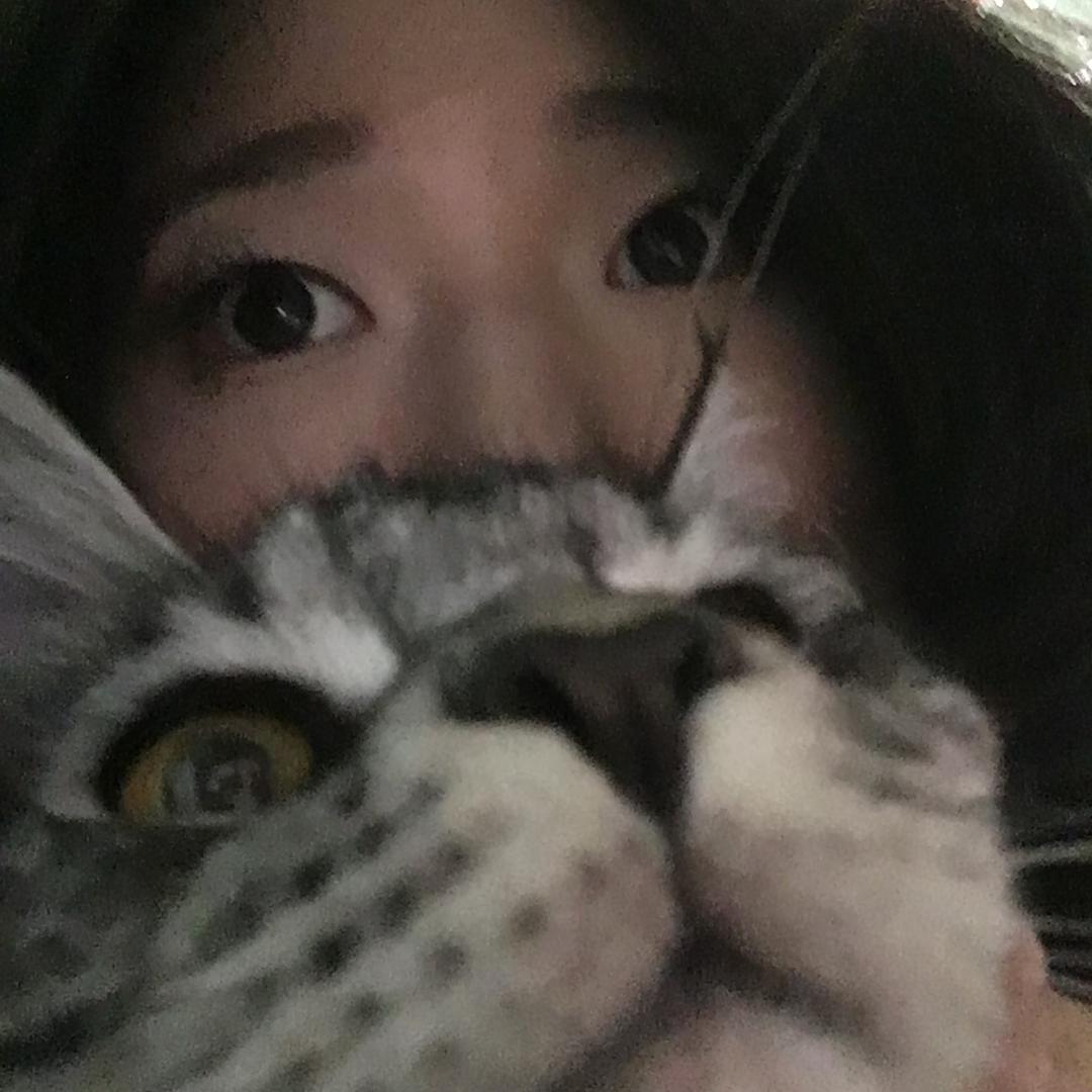 穆穆