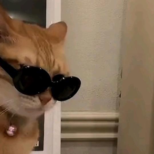 武功喜娃·油泼面