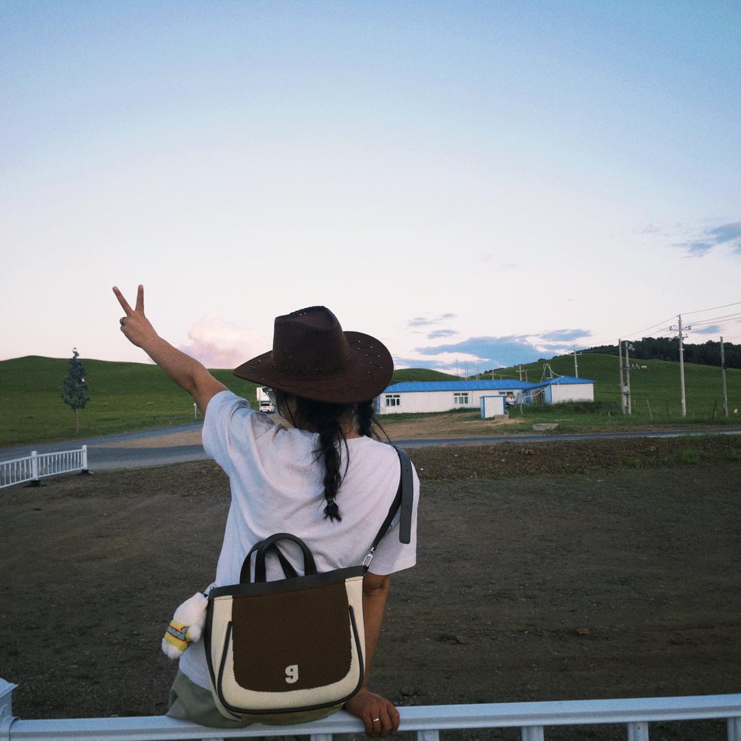 蒲不啦它蒲公英