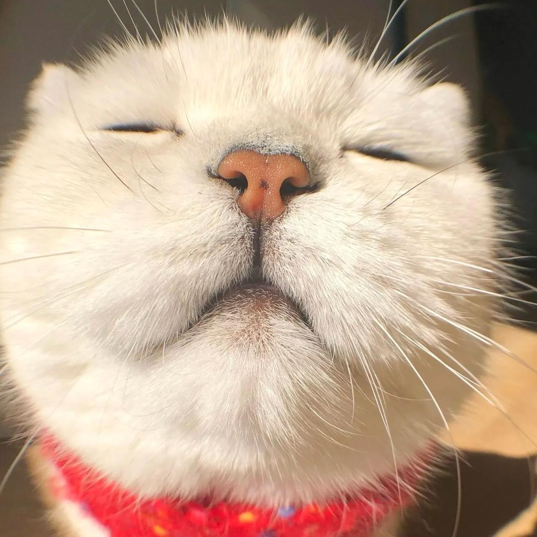 ˡᵒᵛᵉ