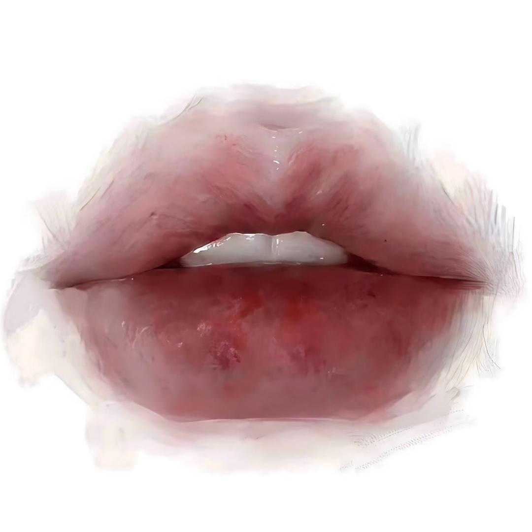 and佳
