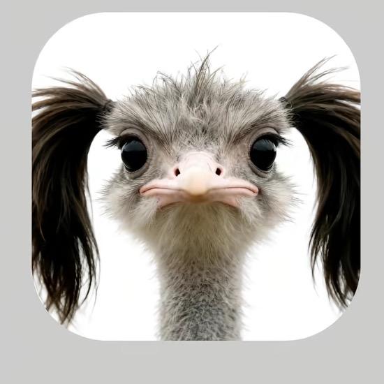 取个名字叫叫什么