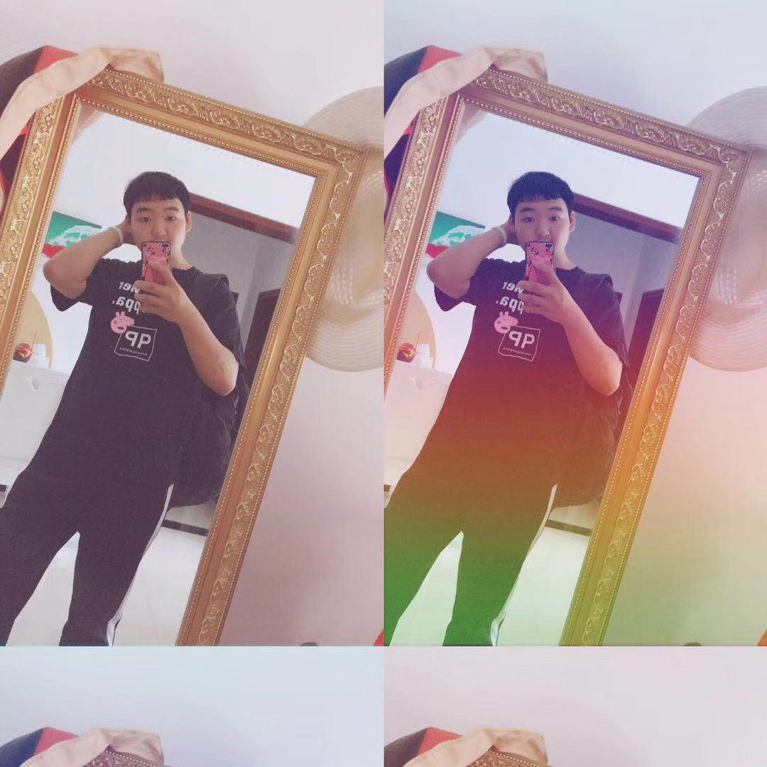 bear🌈