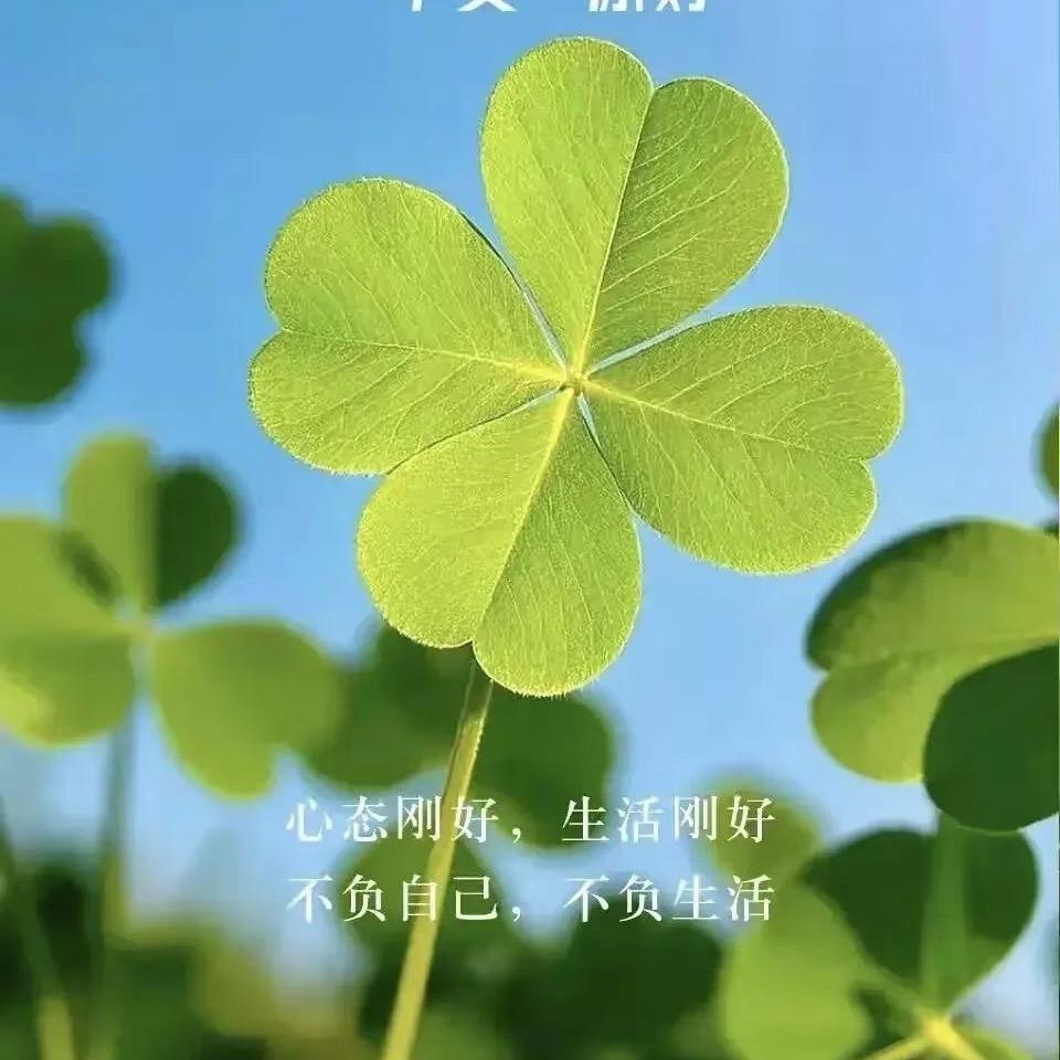 昊老师说