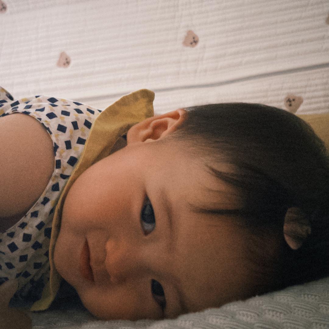 小灯笼的日常（吃货版）