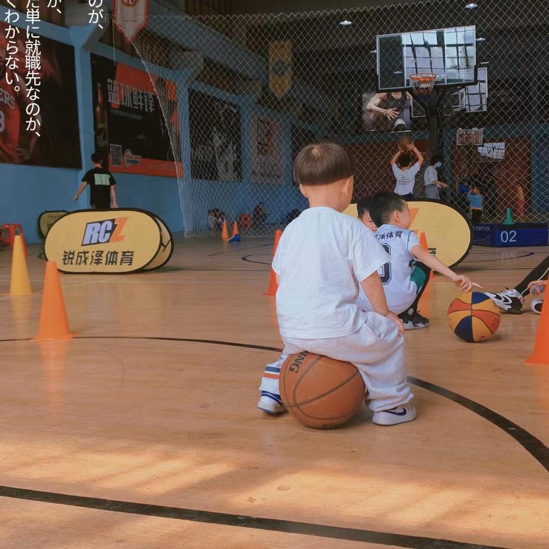 🌈张波篮球🏀