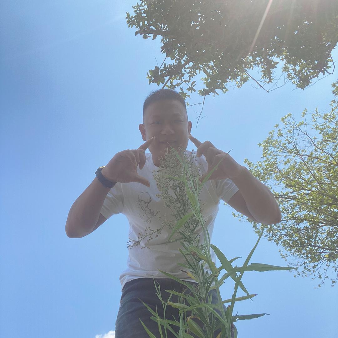 屈家少爷