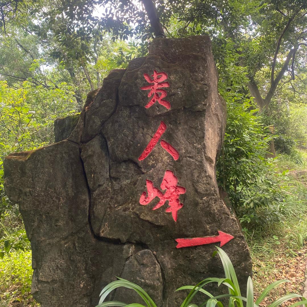 钱仁凤