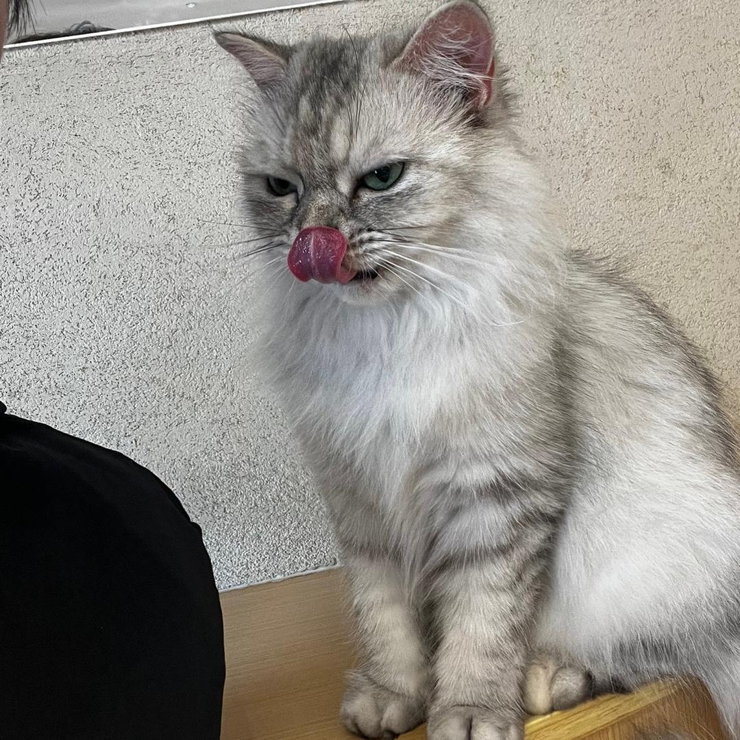 倩倩宝宝