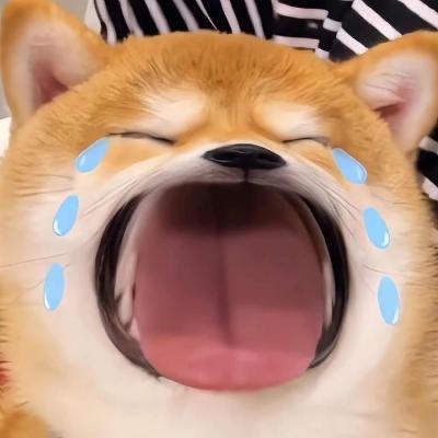 吃胖胖（出🐻版)
