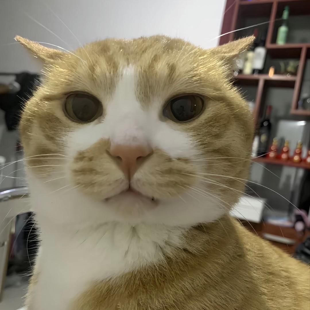 我是肘击