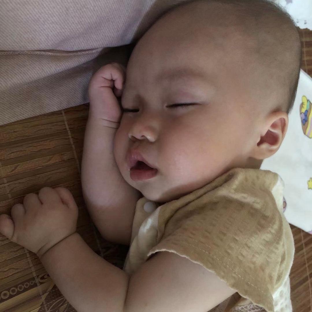 大树好乘梁先生
