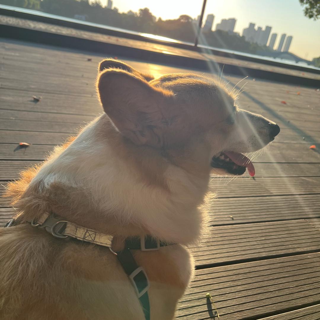 洧 恒