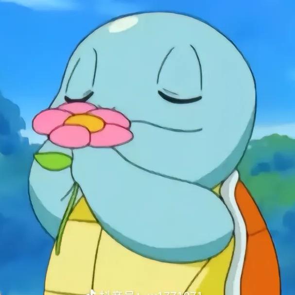 深情龟.