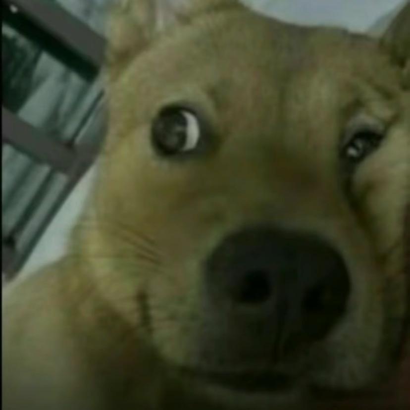 诶