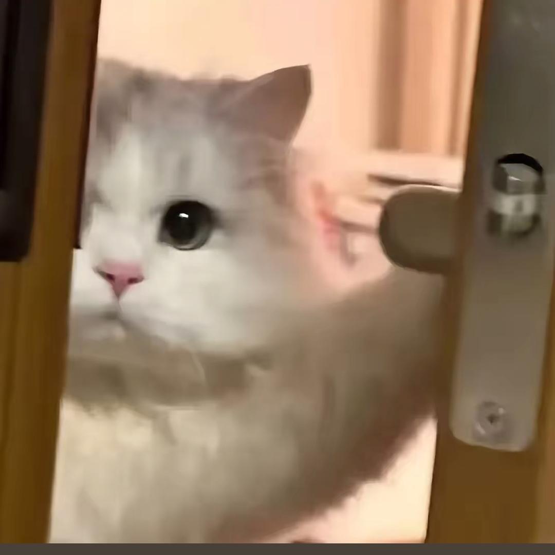 ke。