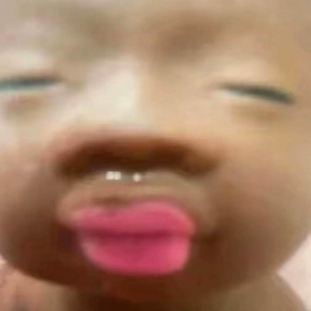 在海滩喂仓鼠的海豚