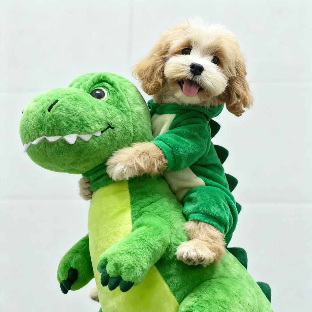 小燕总萌宠可卡布直播号