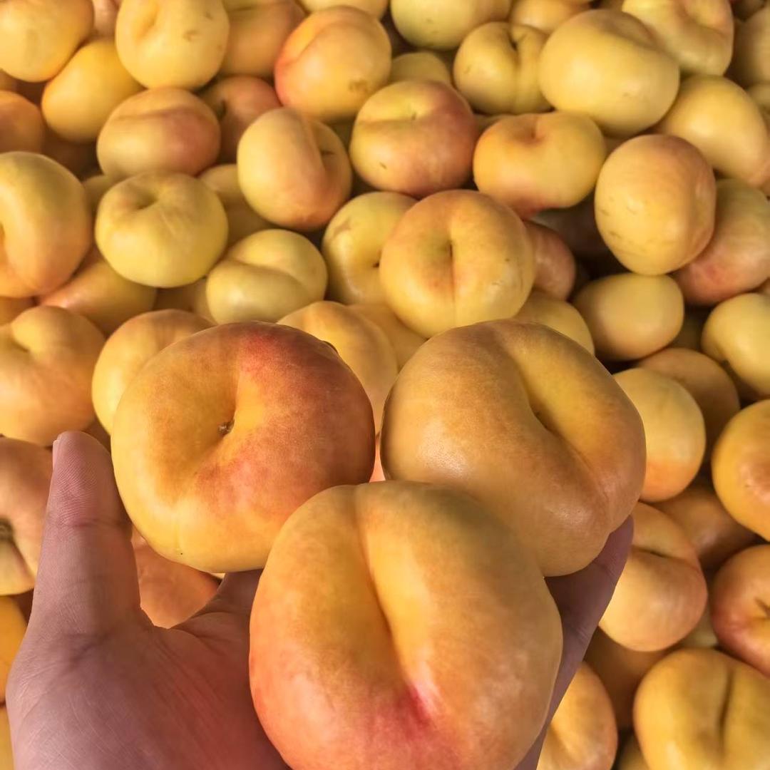 沂蒙山果生态农场