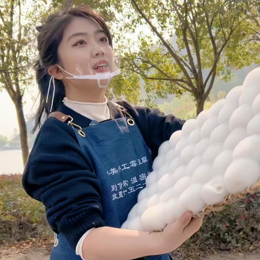 小美手工霉豆腐