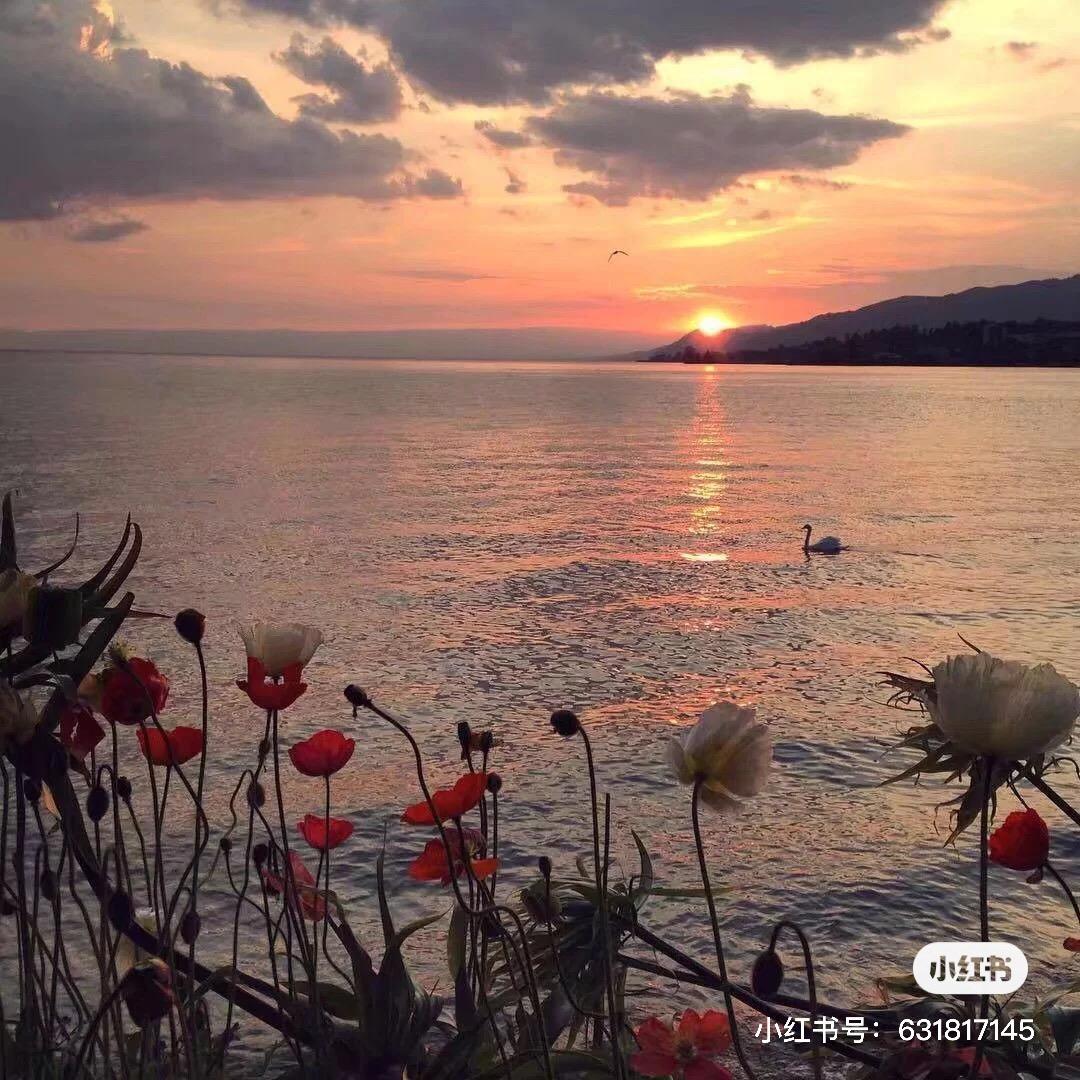 阿九九九九九九