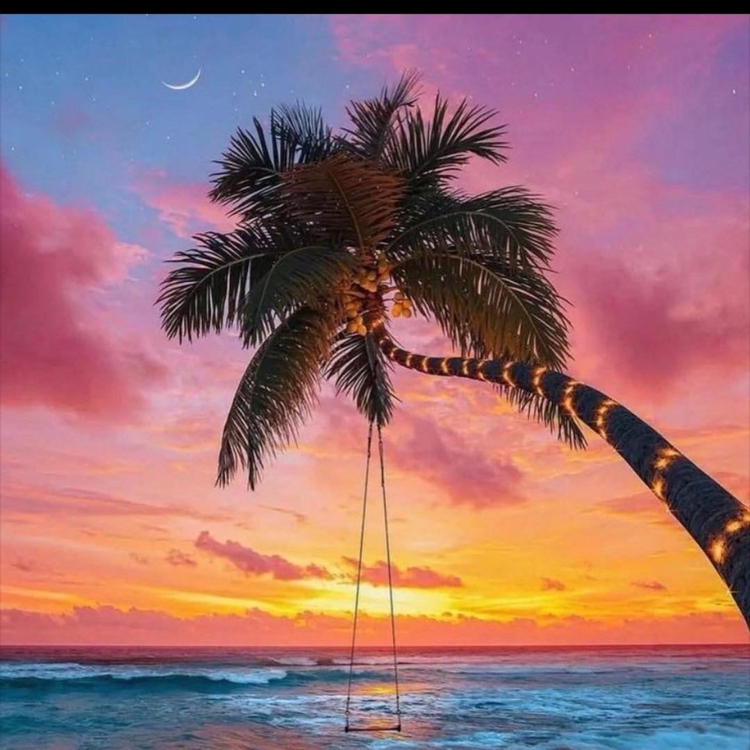 🌴椰子树下荡秋千