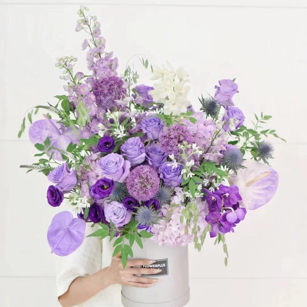 蝶楚明亮花卉雪洋花行