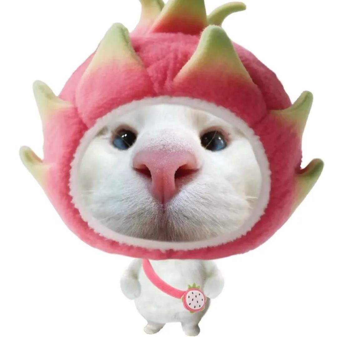 谈恋爱不如养狗🐶