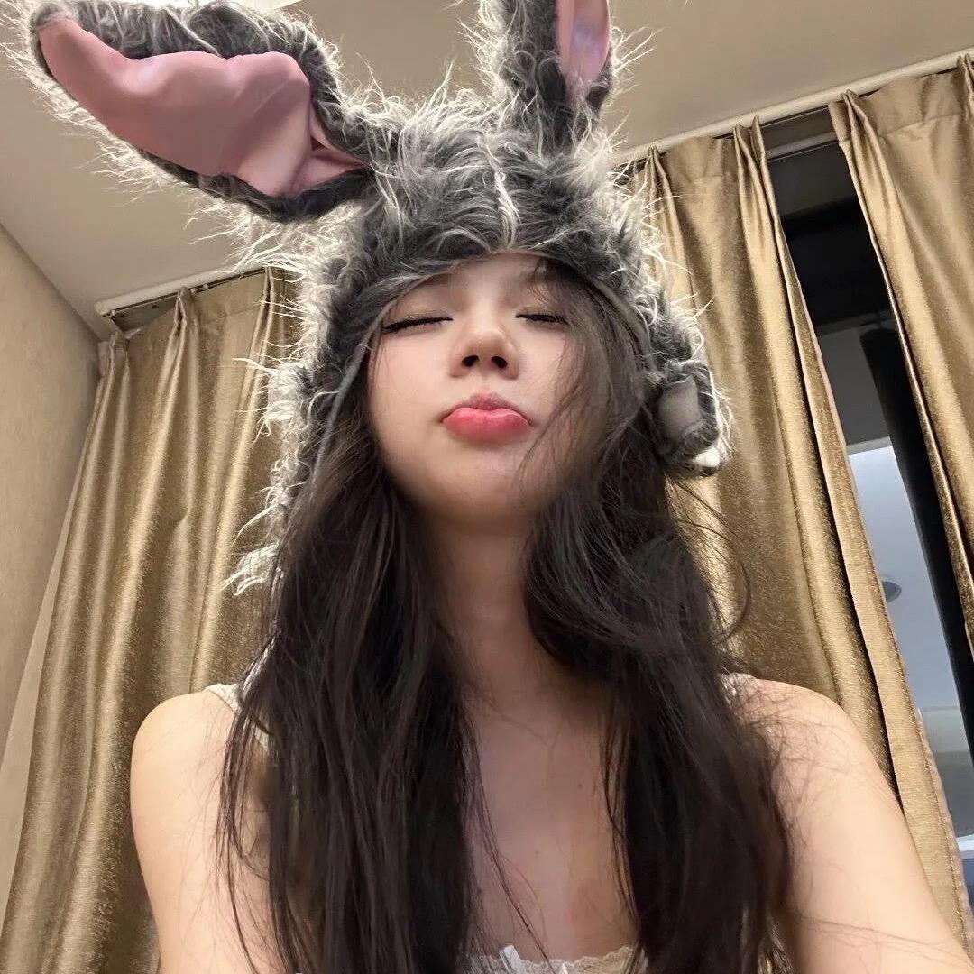 兔子🐰
