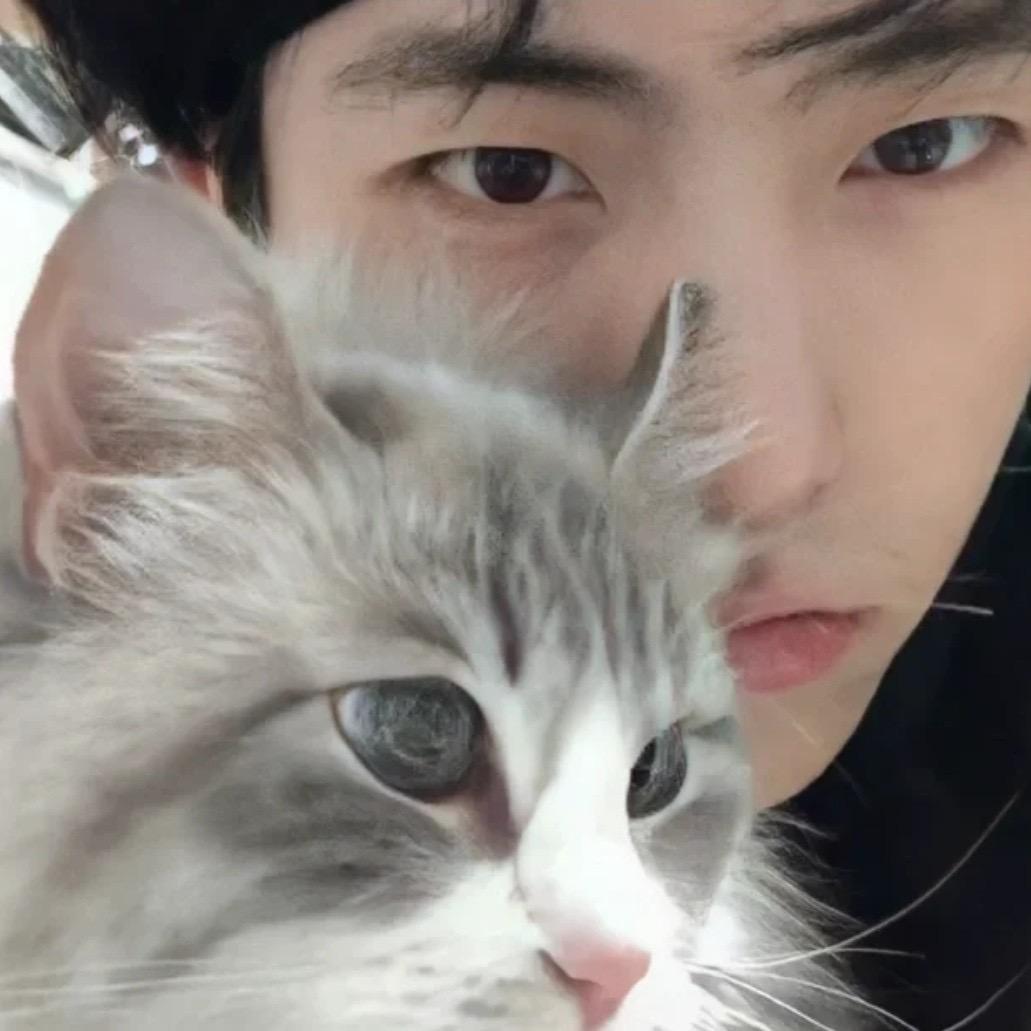 AAA小蛋糕批发琪姐