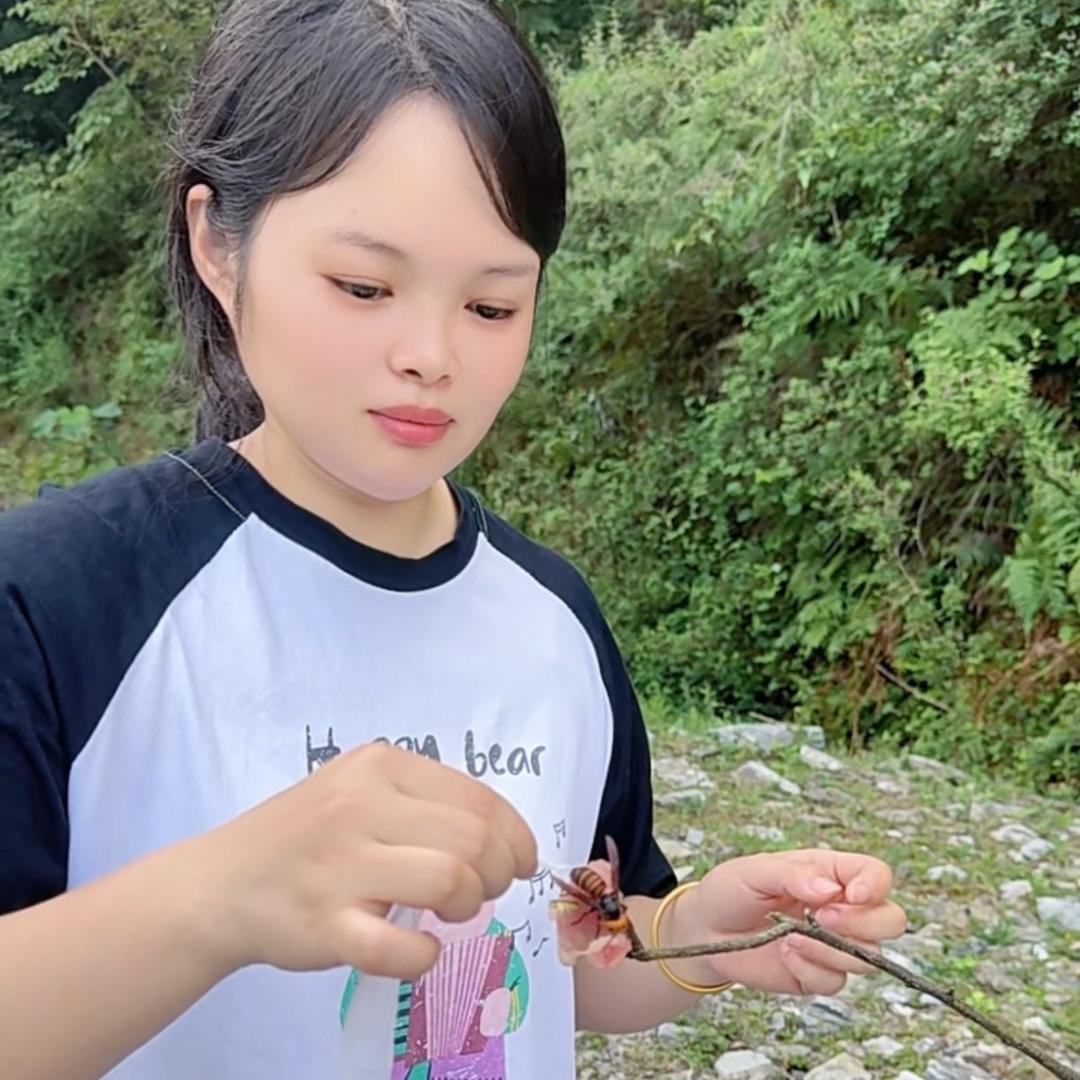 金满户外虎头蜂