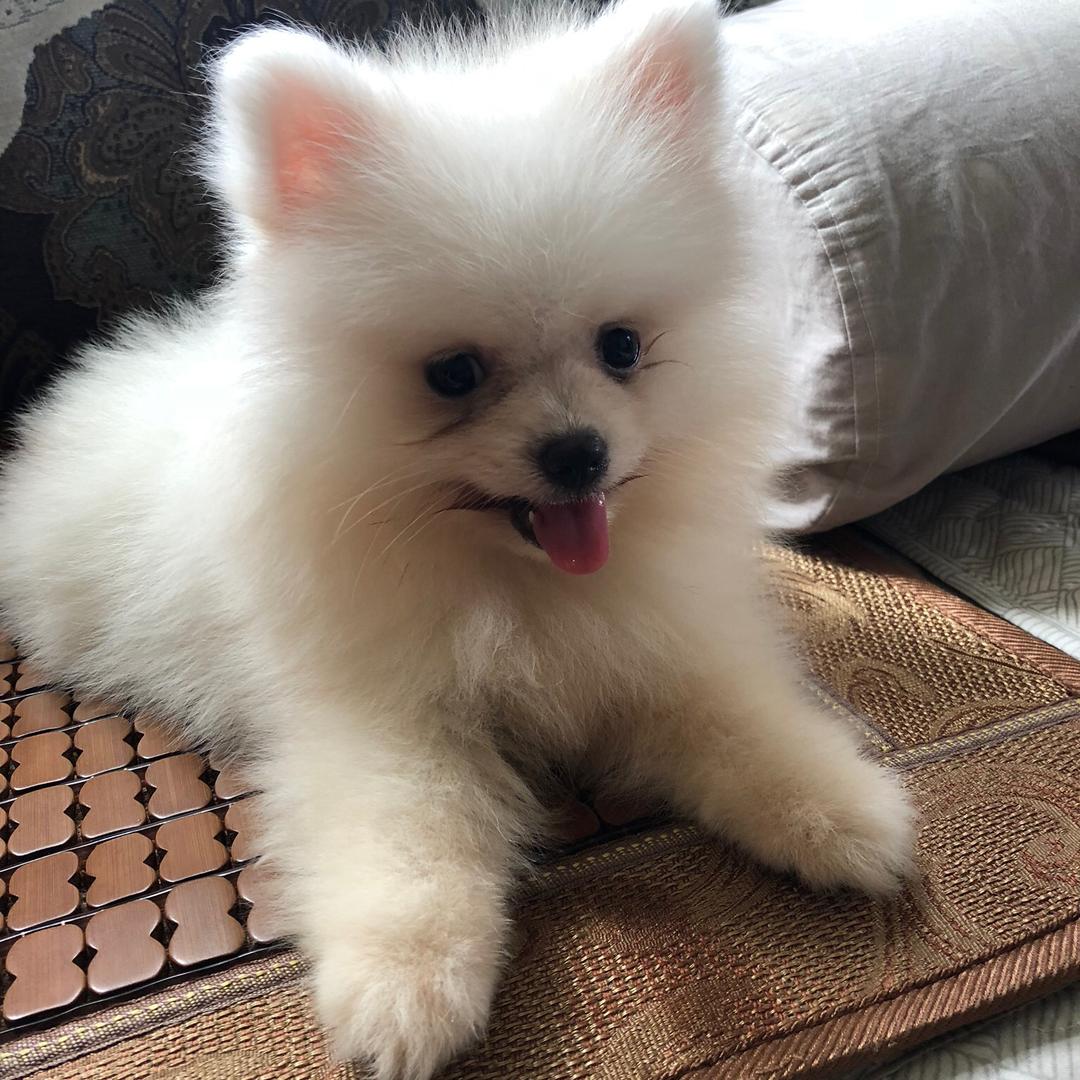 小婷