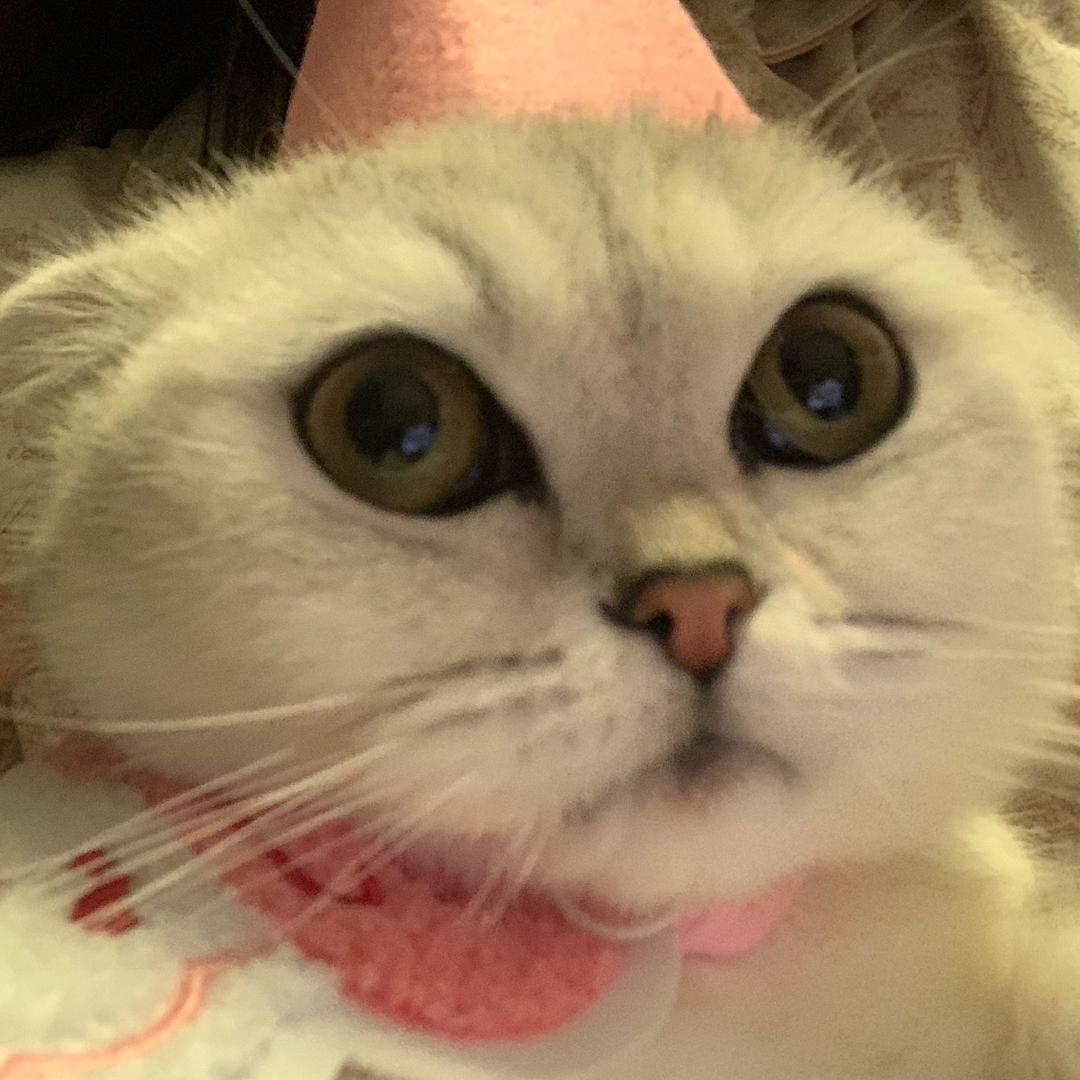 🥳