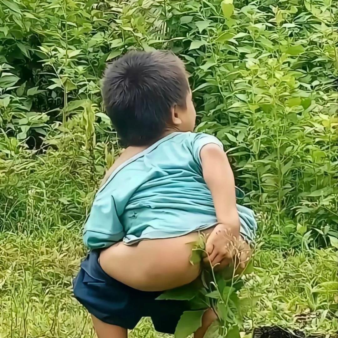 阿ん小白