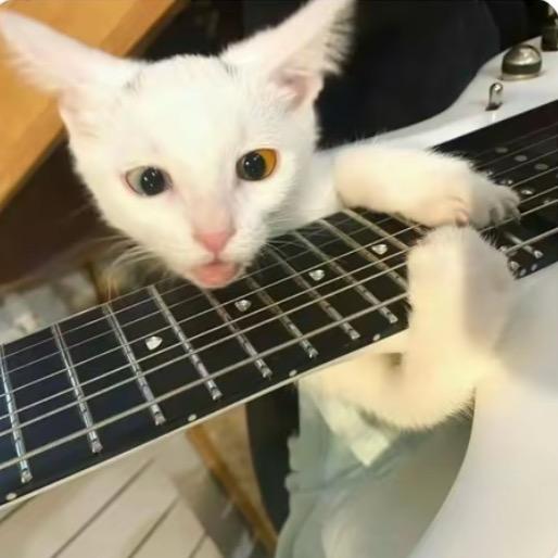 我是猫狗