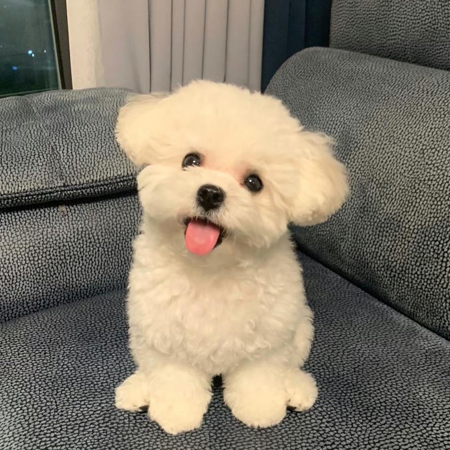 汤圆