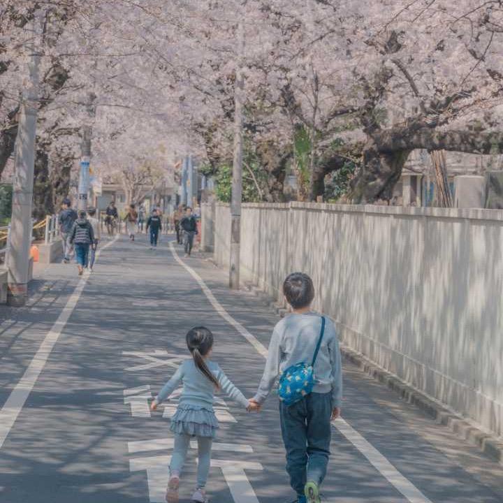 张罗起来.把子肉