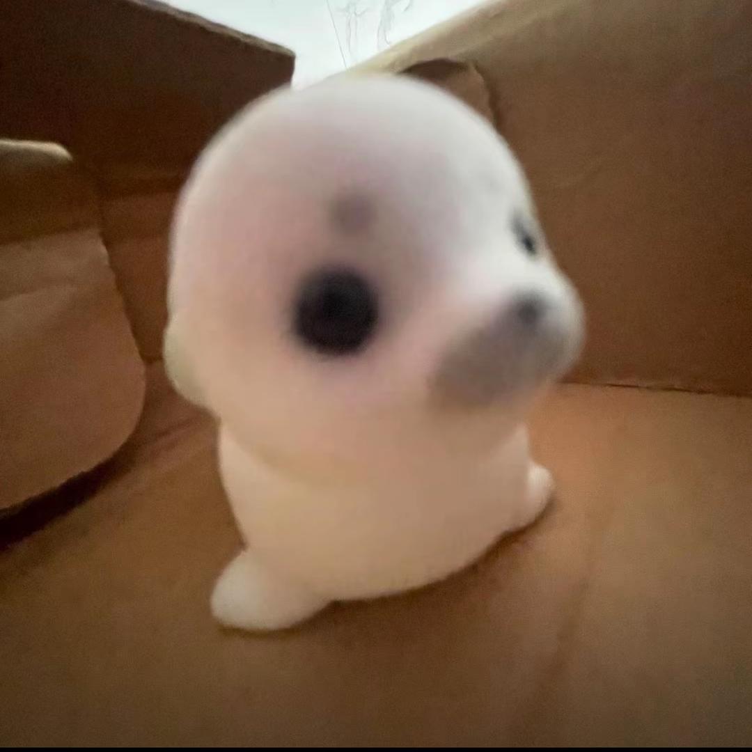 包蛋🐾