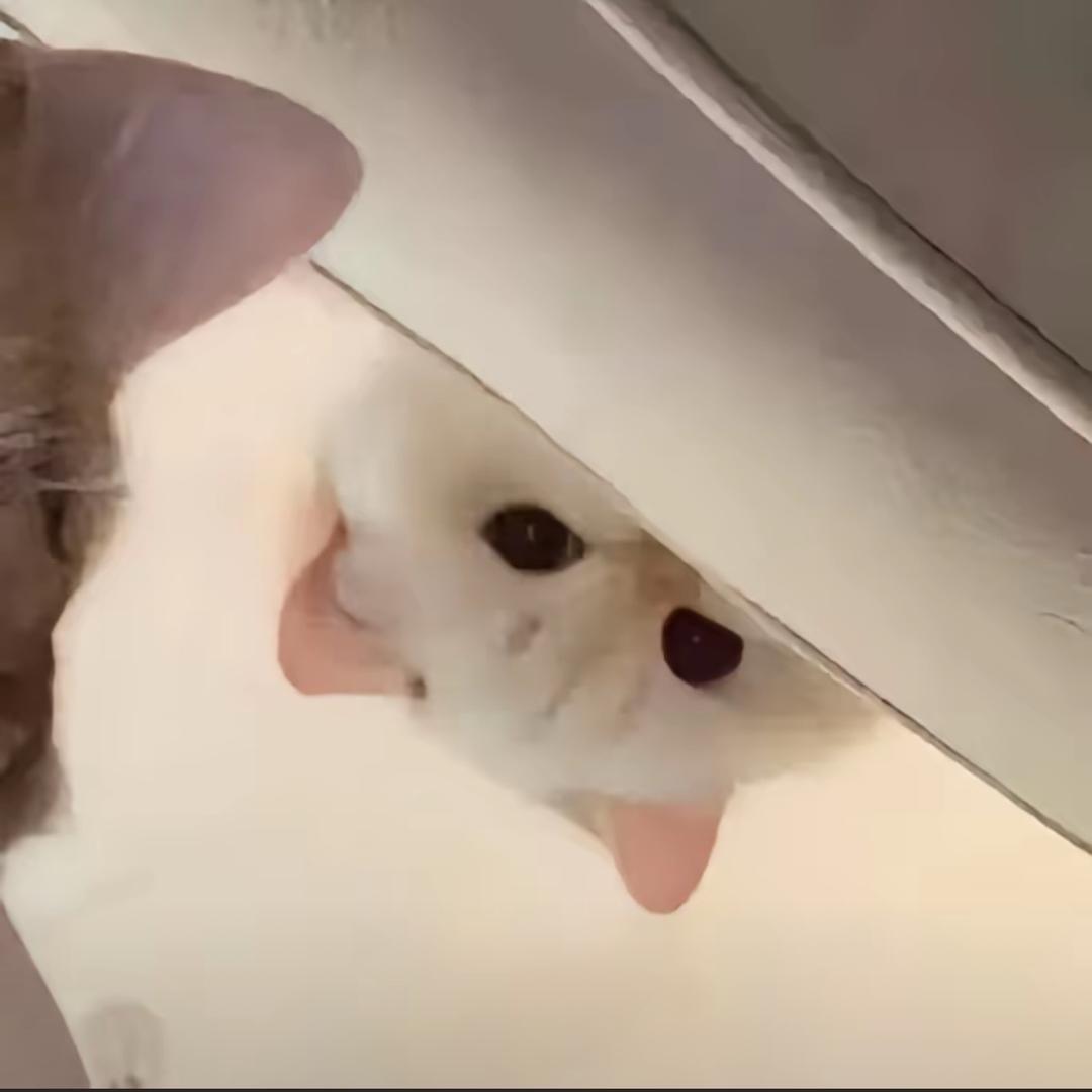 小然