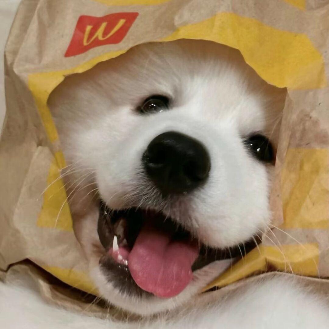 锦
