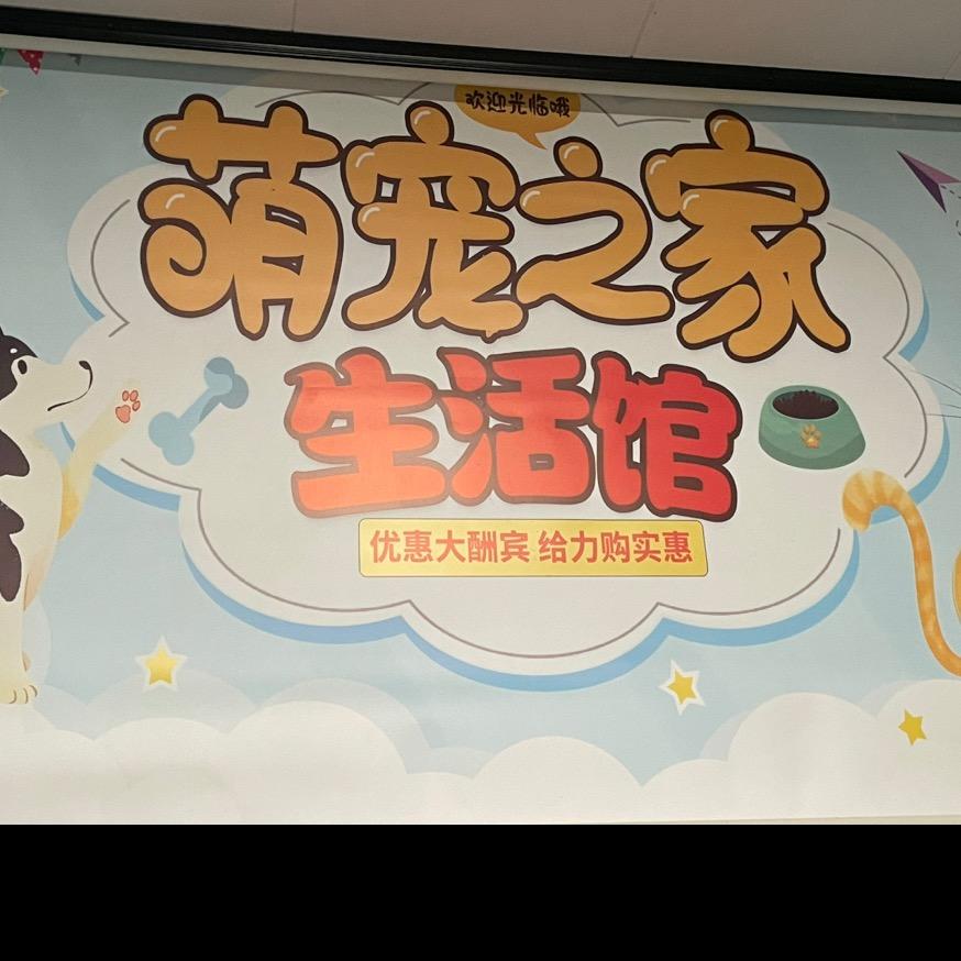 阳光萌宠：比熊生活馆