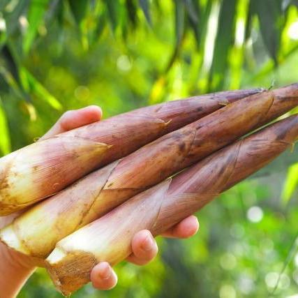 老晏土特产店宜丰