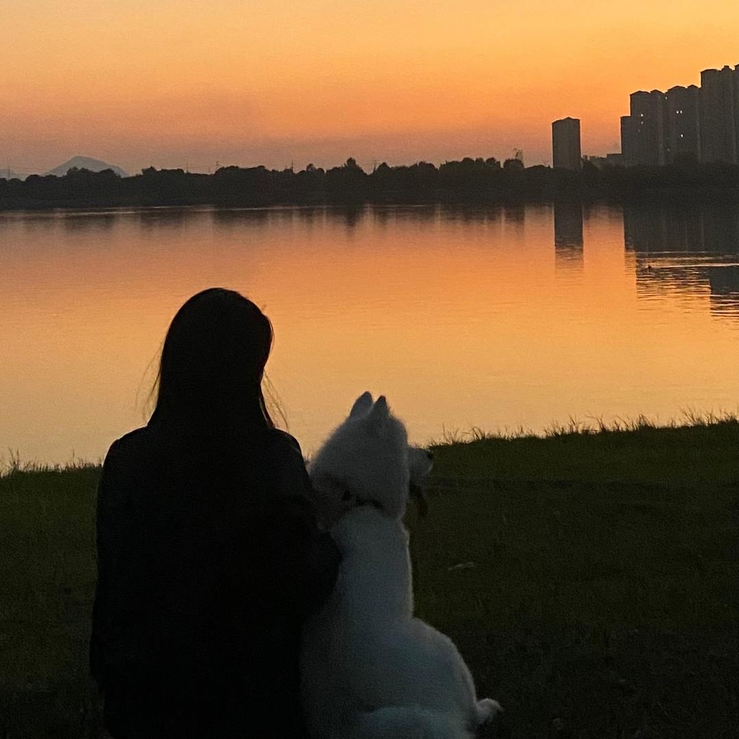 @小锦李