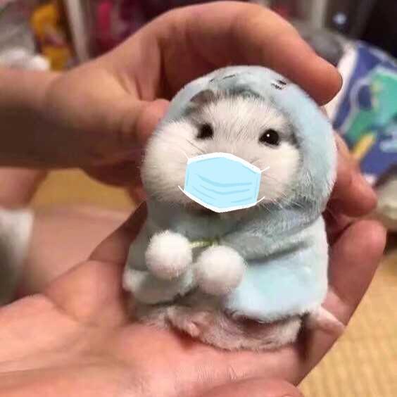 绿水清清