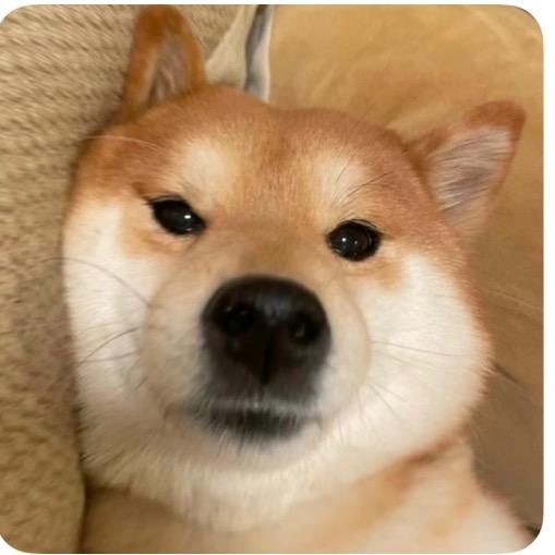 明天見.