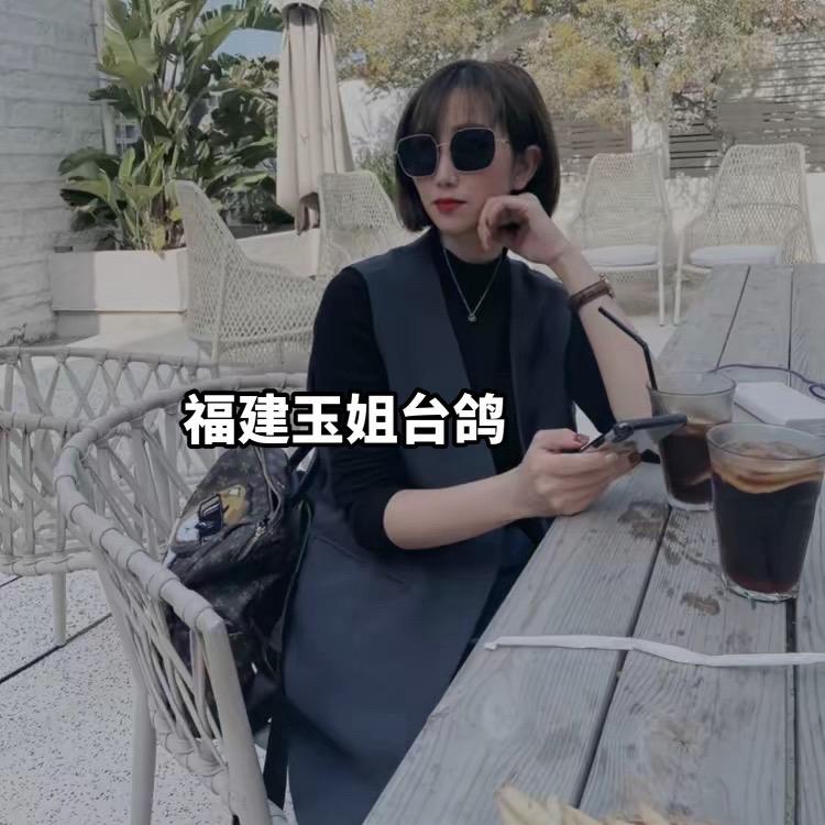 福建小陈台鸽
