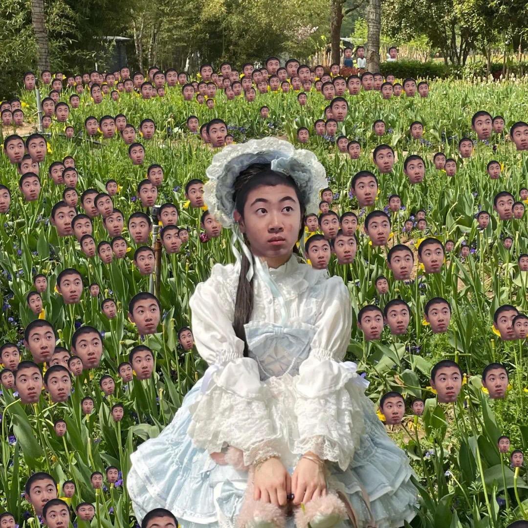 12点前会睡
