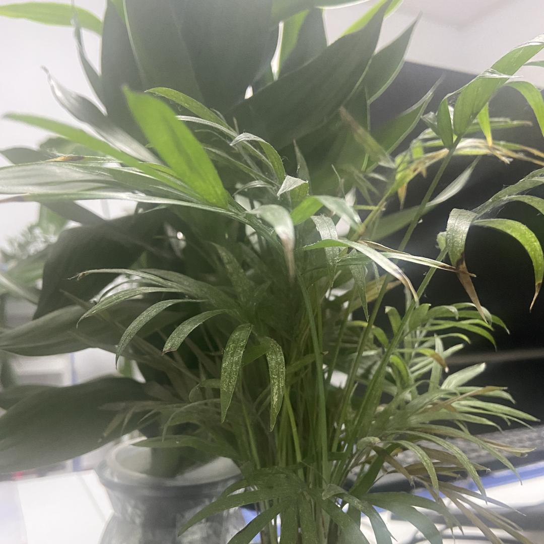 提莫优选百货商行