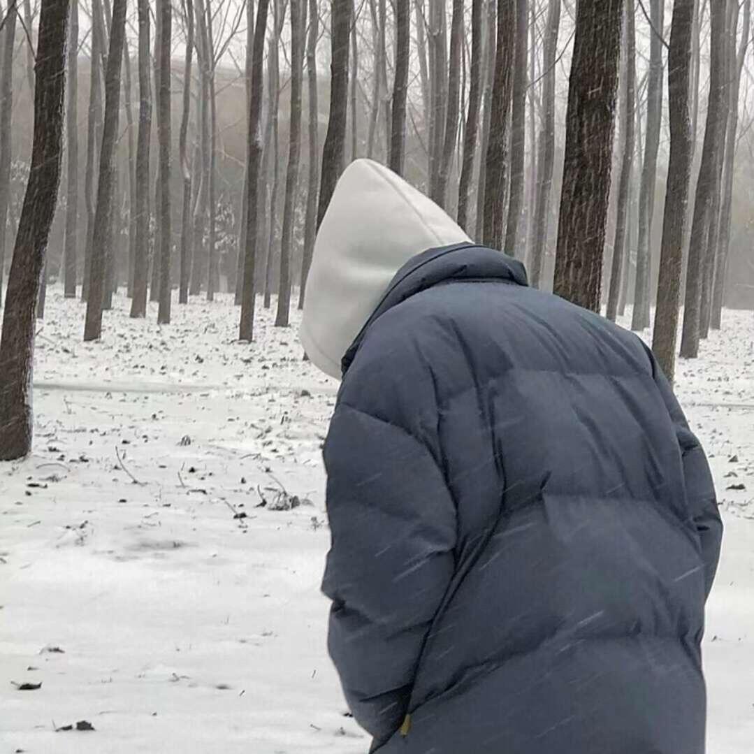 番茄炒蛋加点葱