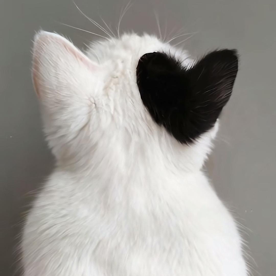 圆圆圈圈圈啊～～